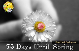 76 reactions · 76 shares | The #Countdown to #Spring    https://daysuntilspring.net   | Spring Countdown | Facebook