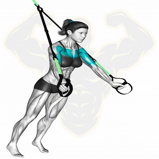 #muscleman #workoutmotivation #fit #fitnessmotivation #bodybuilding #reels #gym #fitnesschallenge #fitness #training #workout | Muscle man