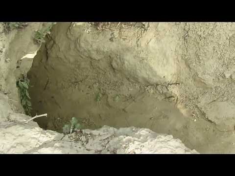 Indian Rock Python and its habitat