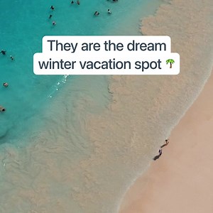 Escape winter and enjoy beach vibes in the Caribbean 🌴☀️ Book your trip ✈️ | American Airlines