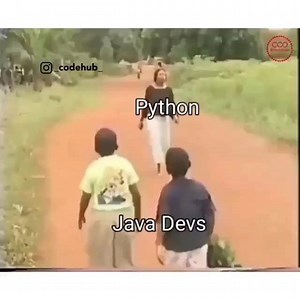 48K views · 355 reactions | These guys are hilarious 浪 | Programming Jokes | Facebook