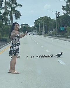 994K views · 965 reactions | This woman stopped traffic to make sure a mama duck and her ducklings could cross the road ❤️ | Lessons Learned In Life | Facebook
