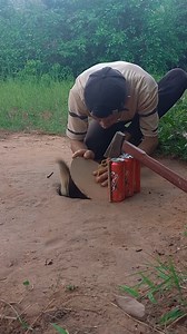 Respect DIY Unique Quail Trap Method Using Deep Hole and Cans With ax #birds #viralreels | Animals Trap