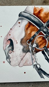 2.1K views · 134 reactions | The second in a series unoriginally called “Bits & Bridles” #dressage #bridle #bit #doubledridle #equestrian | The Art Of Michelle Clarke | Facebook