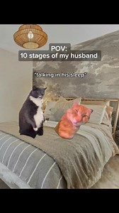2.1M views · 45K reactions | #catsoftiktok #cat #catcouple #catmemes #sleepingwithacatinmyarms #asceneundersurveillance #varilreel #varilreels #healingcats #goodvideo | Cat Meme Hub | Facebook
