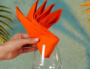 13M views · 241K reactions | Impress your guests with these amazing napkin hacks! | 5-Minute Recycle | Facebook