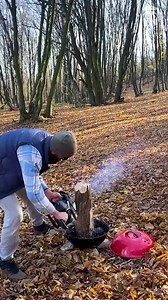 412K views · 311 reactions | How to Remove a Tree Stump Efficiently | Creative Panda | Facebook