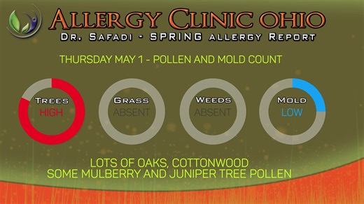 2.8K views · 67 reactions | Oak and Cottonwood Pollen are abundant. Some Mulberry, Juniper and Low level of Mold Spores | Allergy Clinic Ohio - Dr. Safadi | Facebook