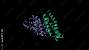 Crystal structure of oxidized alpha hemoglobin (green) bound to alpha-haemoglobin-stabilizing protein. Animated 3D cartoon and Gaussian surface models, chain id color scheme,PDB 1z8u, black background