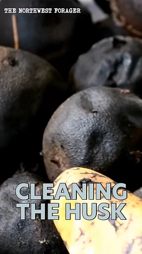 Dehusking Black Walnuts: A Must-Watch for Walnut Lovers #reels #walnuts #nuts #hacks #food #snack | The Art of Survival
