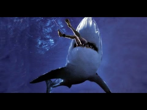 Action Movies 2020 - Best Hollywood Free Action Movies Full Length English No Ads - FULL HD 1080p