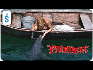 Flipper (1963) | Scene: Flipper helps Sandy find fish