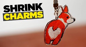 Shrink charms are magical! 🤪 | Genius Inventions