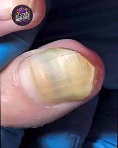 9.9K views · 99 reactions | 4091. Desk-to-dinner routines with balanced diet support #BalancedEating #FamilySupport #WellnessRoutine | NC State Wolfpack on TheWolfpacker.com | Facebook