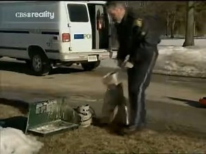 1.3K views · 21 reactions | Forensic Files Frozen Evidence | True Crime Files | Facebook