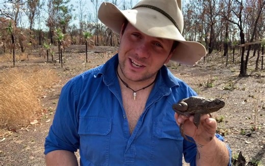 The Cane Toad - An Amphibious Catastrophe