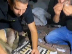 经常前往牧区给主人送饭的狗子病倒了#游牧生活 #记录牧场生活 #牧区生活日常记录 #真实的牧区生活