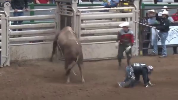 079 It’s Cherry (Halpain Bucking Bulls) 2023 Derby World Finals Event Champion | American Bucking Bull Inc.