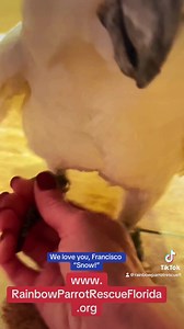 25 reactions · 10 comments | SNOW IS ADOPTED!!!! ❤️❤️ #Francisco...