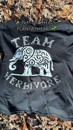 🌿 Peppermint Benefits | Natural Healing with Herbs