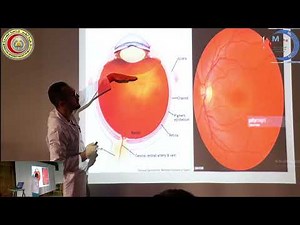 Principles of Fundus Examination