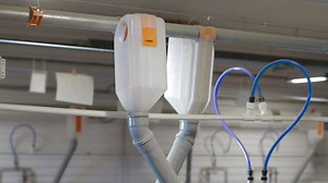 Pig Farm Worker Feeds Pigs Intensive: стоковое видео (без лицензионных платежей), 1015503595 | Shutterstock