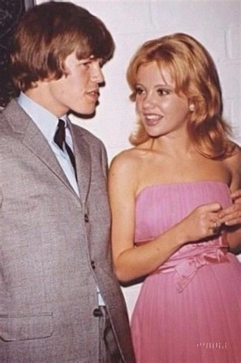 3.4K views | He was the Justin Bieber of his time and the girls couldn't get enough of him. With his thick head of hair and boyish good looks, he charmed an entire world – but the fame came at a high price. Today, the former teen idol is 77 and I suggest you sit down before seeing him now – check out the comments  | G-Creation | Facebook