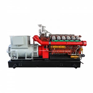 [Hot Item] Dynamic 180kw Biogas Generator Set