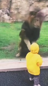 Lion is surprise attack on baby child 😱 _ _ _ _ _ _ _ _ #lion #child #lionattack #wildanimalsafari #wildlifetrust #wildanimals #wildlifelovers #wildloveadventures #wildlifetrust #discoverywild #discovery #nature #naturephotography #netgeo #netgeowildlife #wildlife_vision #wildlifeplanet #wildlife_photo #krugersightgs #krugernationalpark #naturephotography #nationalgeographic | Crazy Videos