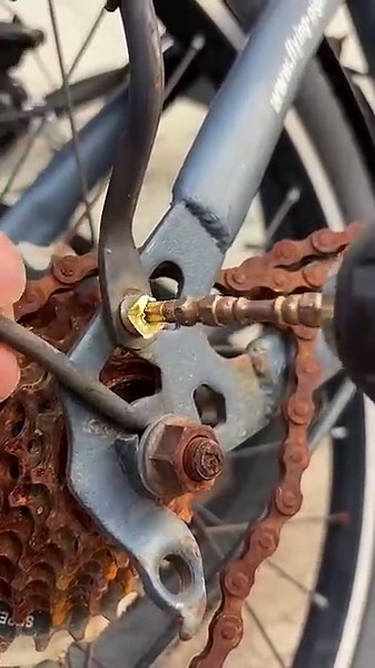 Screw stripping and broken wire extractor