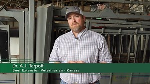 21 reactions | Our newest #cattleintel segment covers how to maximize...