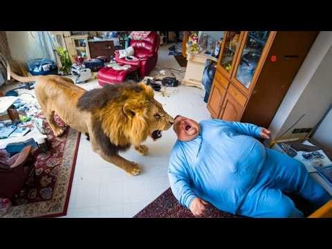 40 самых жестоких нападений животных, снятых на камеру | Нападения диких животных #6