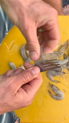 17K views · 280 reactions | How to easily peel prawns with a fork! #prawns #peelprawns #howtopeelprawns 戀  #ifishtv | Ifish | Facebook