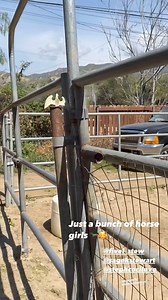 6.3K views · 11 reactions | Booboo Stewart Fanpage on Reels | Facebook