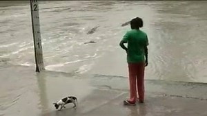 The power of the Chancla. 󾰀󾌳󾌸 | Alien Phenomenon