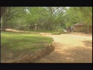 Safari Tourist Wife Gangbang