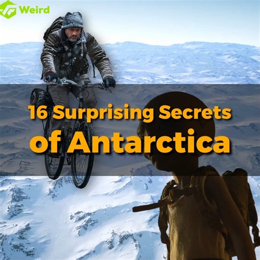 71K views · 359 reactions | Surprising Facts of Antarctica | Weird Facts | Facebook