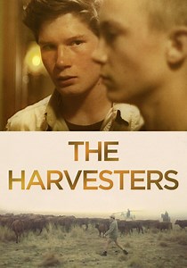 The Harvesters streaming: where to watch online?