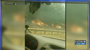 Milepost 97 Fire Scorches 9, 000 Acres