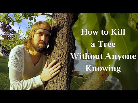 How To Kill A Tree Without Anyone Knowing - How To Kill A Tree - Journey To Sustainability