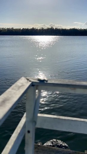 🐜 All natural, all Australian, toxin free, cruelty free, insect bite soothing balm ... 👨‍👩‍👧‍👦 Itchy Scratchy Bitey Balm is a 100% natural balm for the itching, scratching, burning, redness and swelling of many insect bites ... and suitable for all ages and skin types. 🦟 Mosquito Bites, Midge Bites and Green Ant Bites ... and more. 🌿 It comes in a 5gm tube (lip balm size) a 15gm tube (deodorant size) ... convenient for handbags, school bags, back packs, tackle boxes and first aid kits. Bu