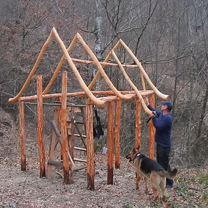 Constructing a Bushcraft House out of wood. Competencies in the Undeveloped Area. | Backwoods Beacon