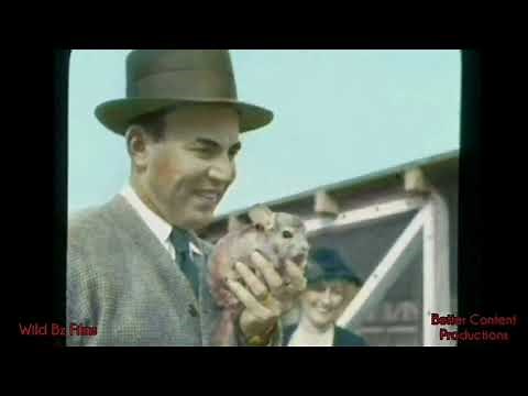 THE OFFICIAL CHINCHILLA/CHINCHA DOCUMENTARY