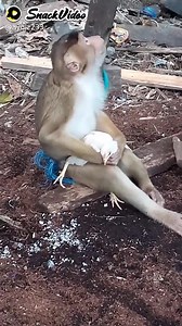 Rekam video, dapat rejeki | Snack-ID-2