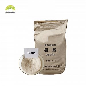 [Hot Item] Apple Pectin Powder Food Grade Halal Certified for Confectionery and Fillings