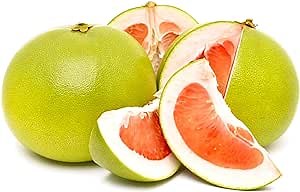 45 Premium Shaddock Pomelo (Pumelo, Pommelo) Grapefruit Seeds, Non-GMO Heirloom Fruit Seeds to Plant Garden Outdoor, High Nutritious & Tasty