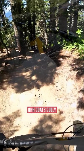 🚨Hardcore Hardtail Trigger Warning!🚨 Check out Blake sending it down Goats Gully in Whistler on his Nukeproof Scout! It's safe to say that hardtails can do anything! 🤯 #gmbn #mtb #globalmountainbikenetwork #whistler #hardcorehardtail #scout | Global Mountain Bike Network
