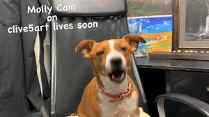 12 reactions | My cam soon on Live with Clive  #clive5art #clivepowell | Learn To Paint With Clive | Facebook