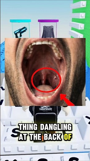 Why Do We Even Have A Uvula? The Answer Might Surprise you 🙏😭