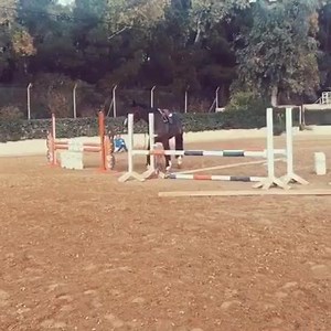 Quand tu confonds cheval de cso et cheval de rodéo Credit: Valentin Velea | CSO de merde